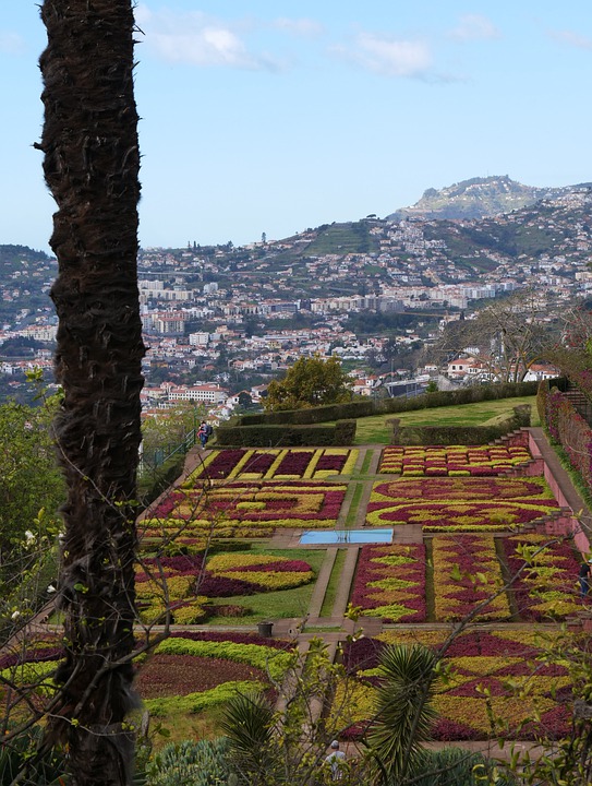 Madeira flower garden