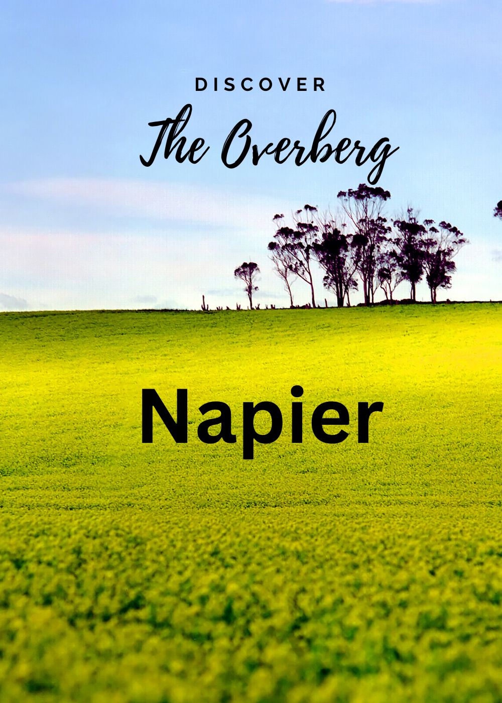 Discover a tiny gem in the Western Cape Visit Napier in South Africa