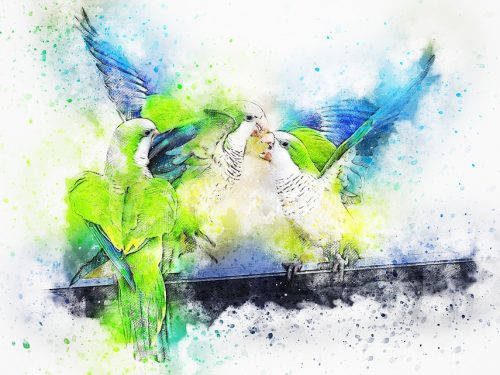 paint birds