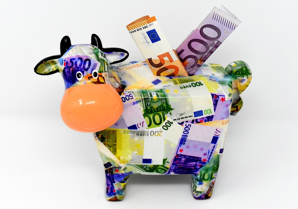 EURO Save Money Budget Plan Discount