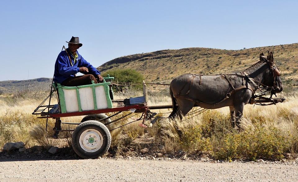 Namibia donkey cart