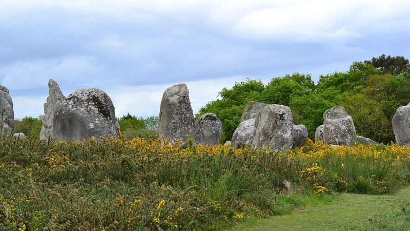 brittany france alignments megaliths grass yellow flowers stones Carnac menhirs