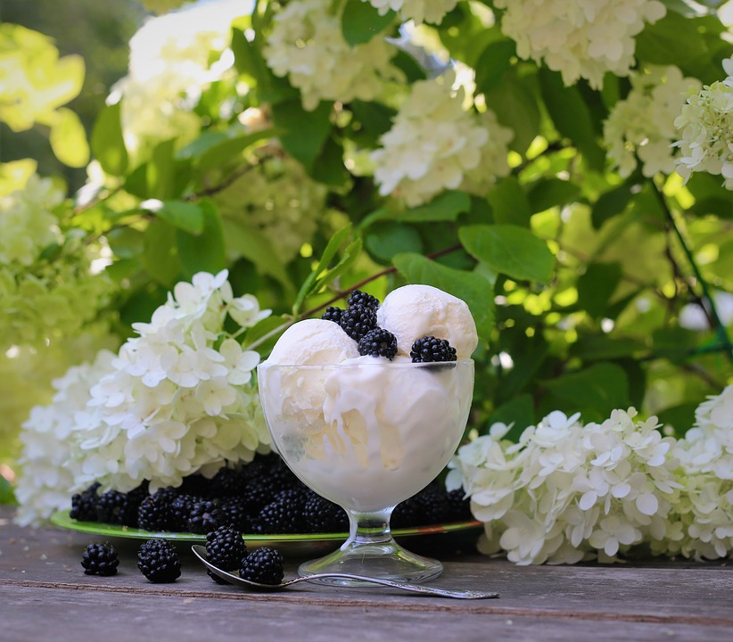 Ice Cream Food Plate Sweet Dessert Fruit Jam Hydrangea