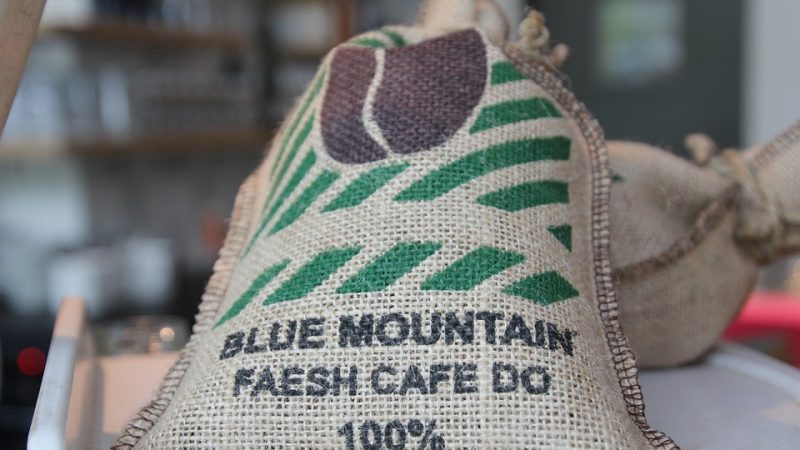 Blue Mountain Coffee Jamaica