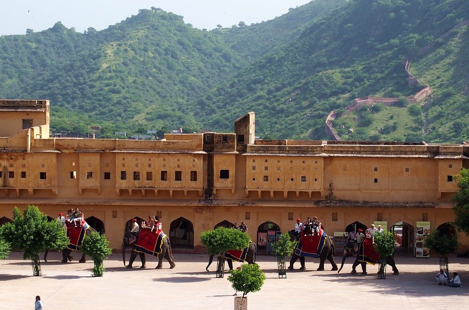 Jaipur Fort Elephants Architecture Rajasthan Amber