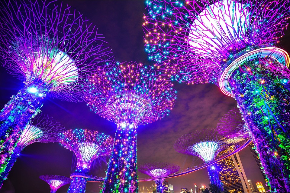 Gardens by the Bay Lightshow 3