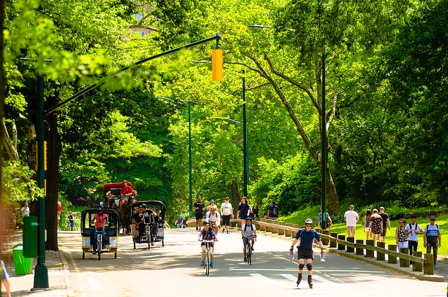 new york city central park united states of america summer travelandhome bike cycle cycling