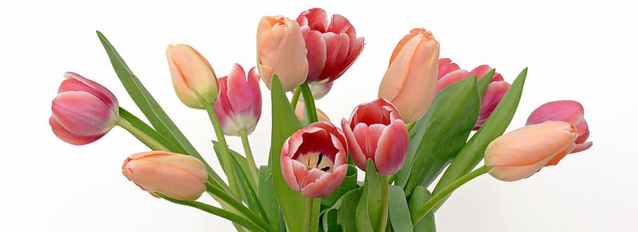 tulips flowers apricot pink tulips travelandhome