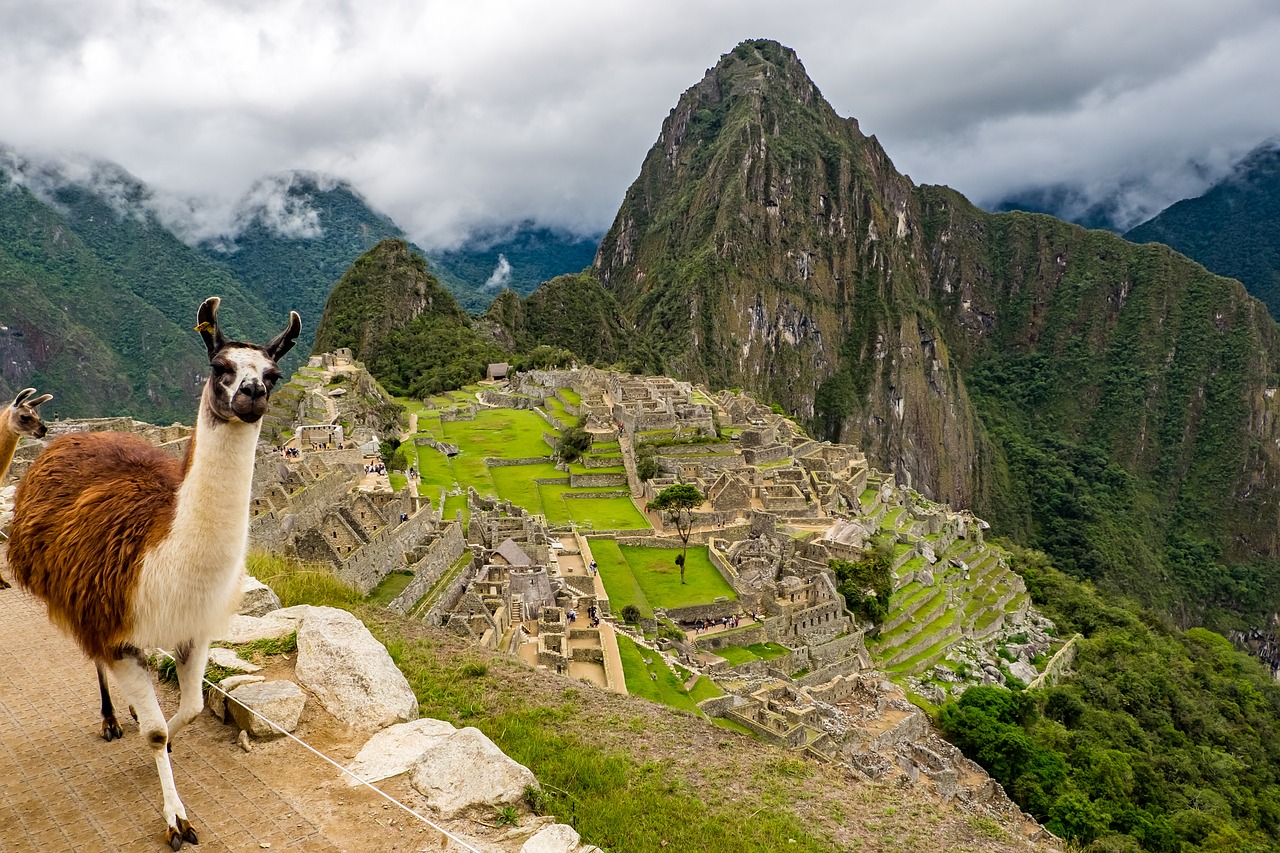 Wildlife, Peru Machu Picchu Lama World Heritage Landscape UNESCO travelandhome