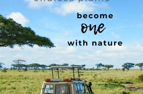 Serengeti, travel guide, #travelandhome, safari, trekking min