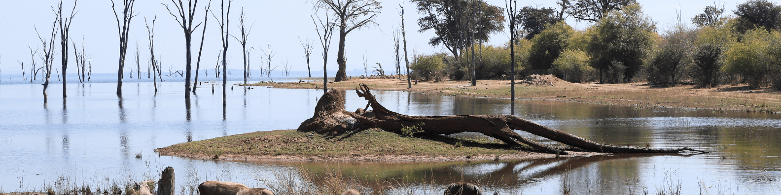 Lake Kariba Zimbabwe Panoramic View Travel