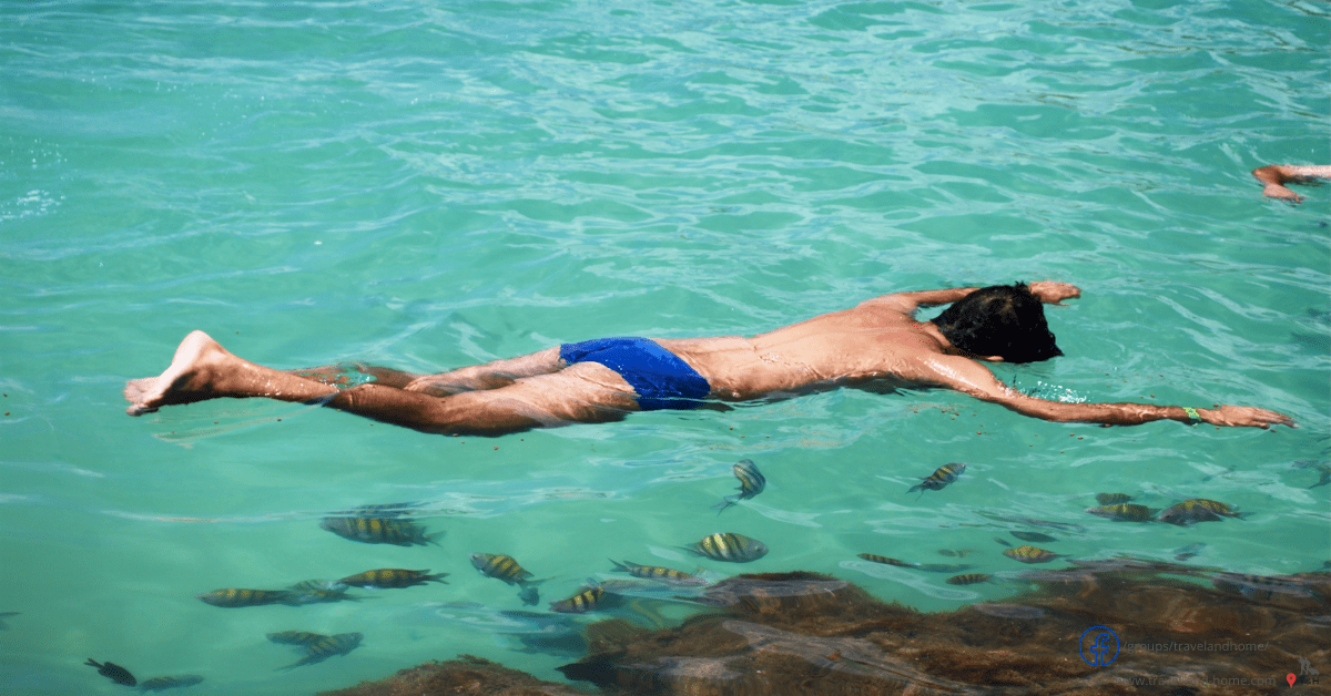 Maragogi crystal clear water for swimming