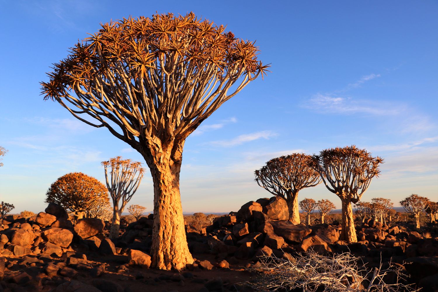 Best things to do in Namibia Top things to do in Namibia