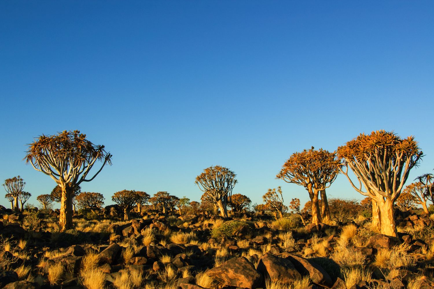 Visit Namibia reasons why you should visit what to expect