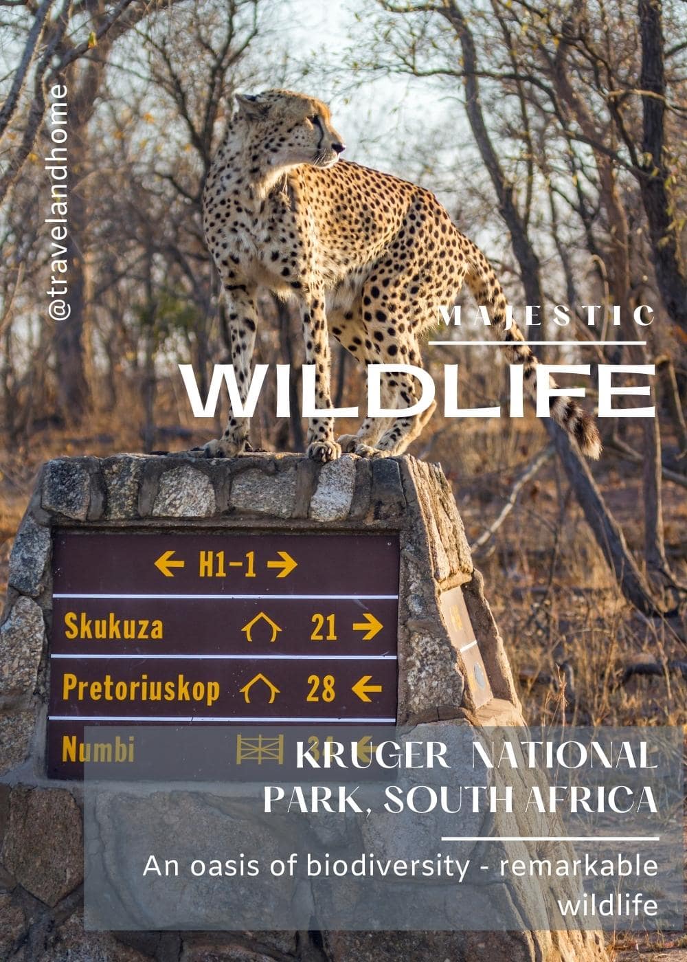 biodiversity Kruger National Park min