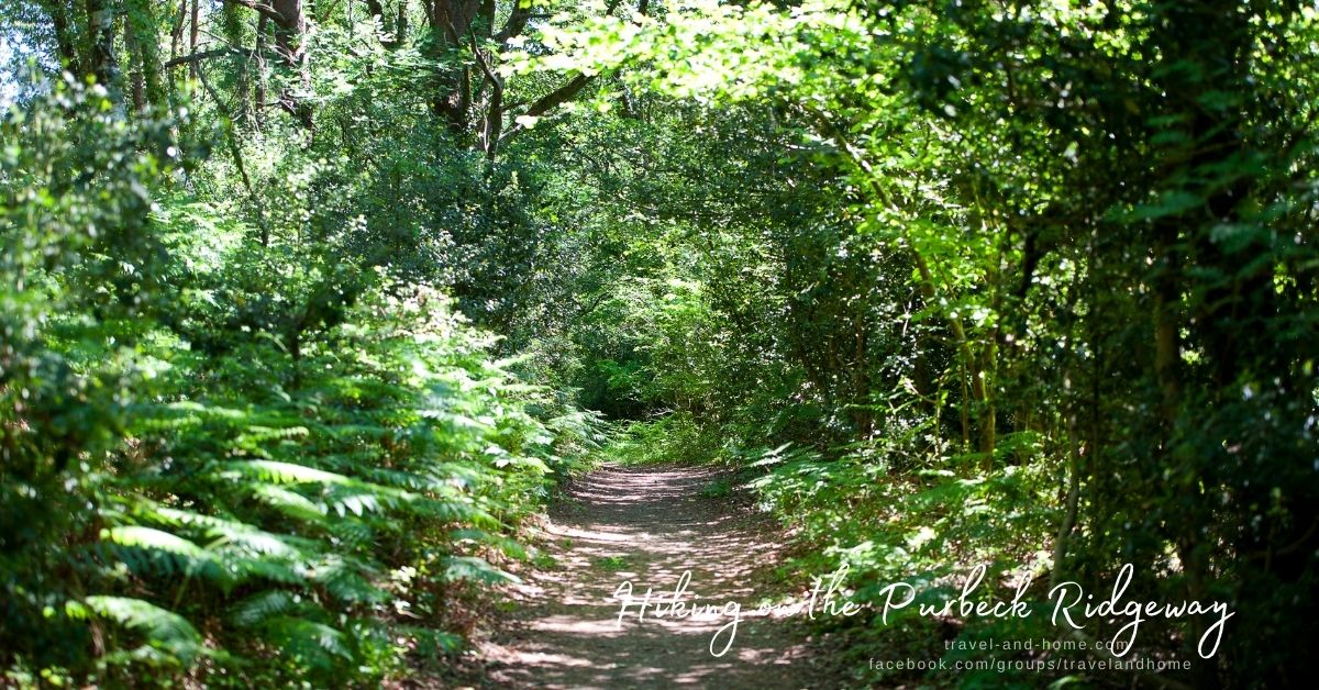 Dorset UK United Kingdom Leafy countryside footpath on the Purbeck Ridgeway Isle of Purbeck England