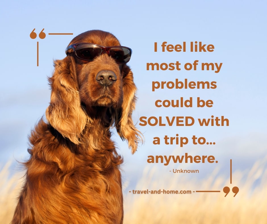 Fun quotes about travel trip problem solving holiday travelandhome min