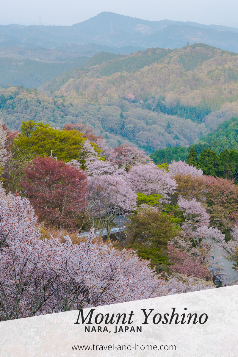 Mount Yoshino Japan Cherry Blossoms in Nara