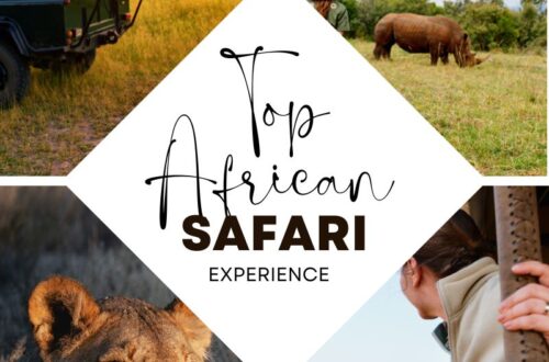 Top Safari adventures in Africa Top places to visit top tours the best tours in Africa the best safari in Africa