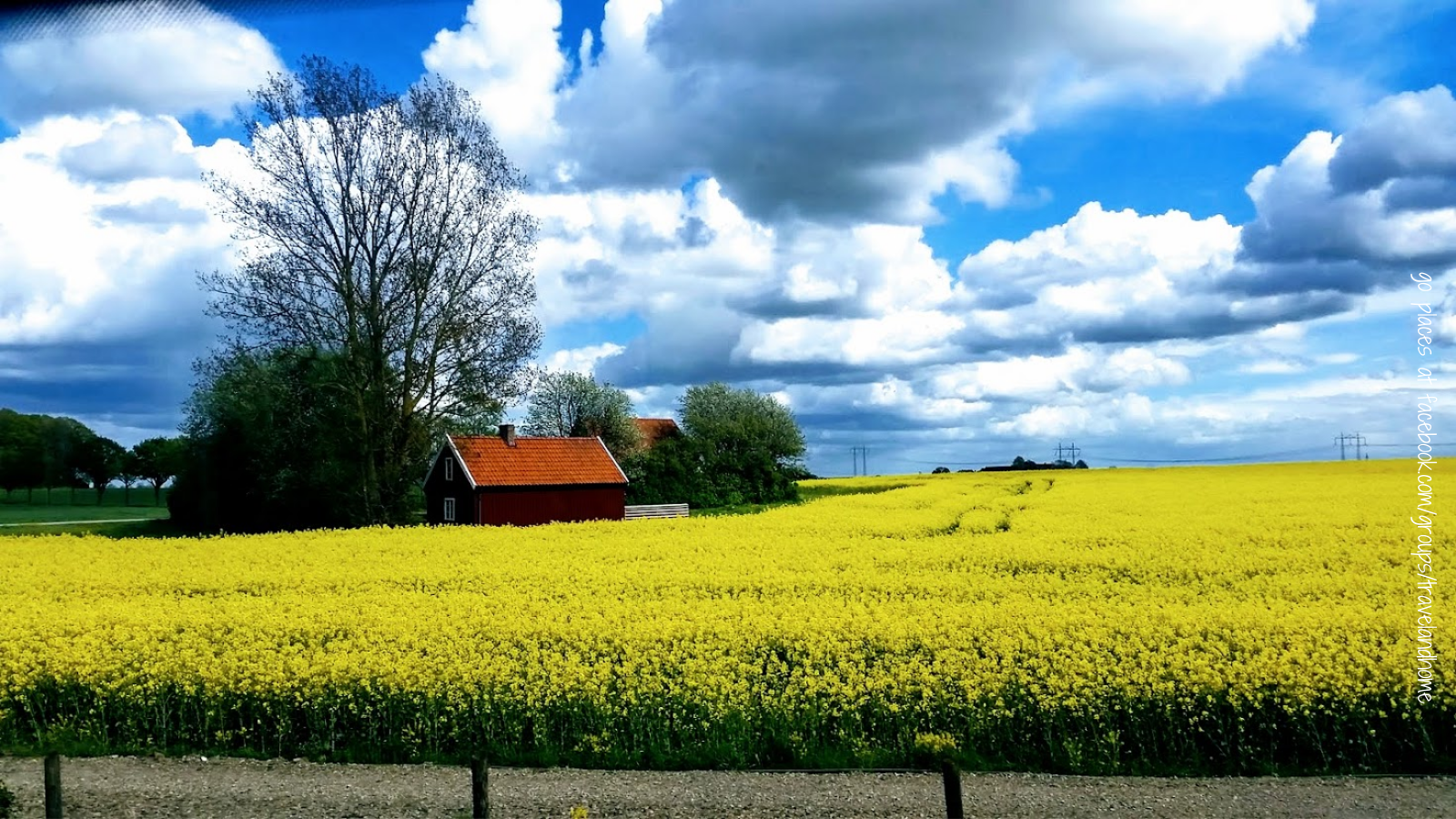 Canola fields along a railway line on the way to Karlshamn in Sweden follow the flowers