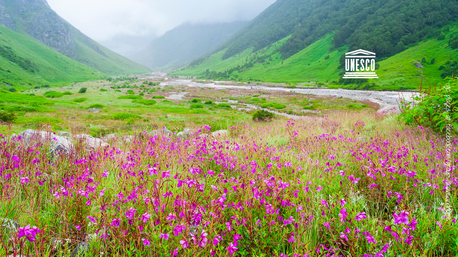 Valley of Flowers National Park UNESCO World Heritage Site follow the flowers India