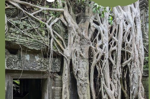 Visit Cambodia All you need to know before you go to Angkor Wat unique place to visit