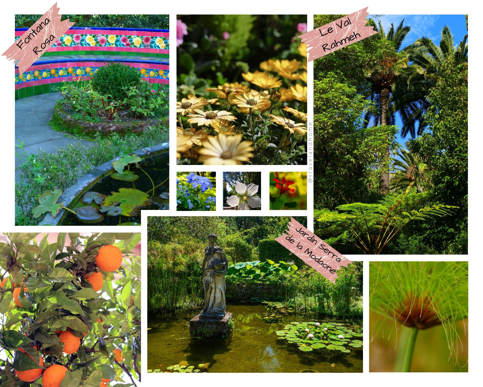 Visit and discover best gardens in Menton France botanical garden Al Rahmeh