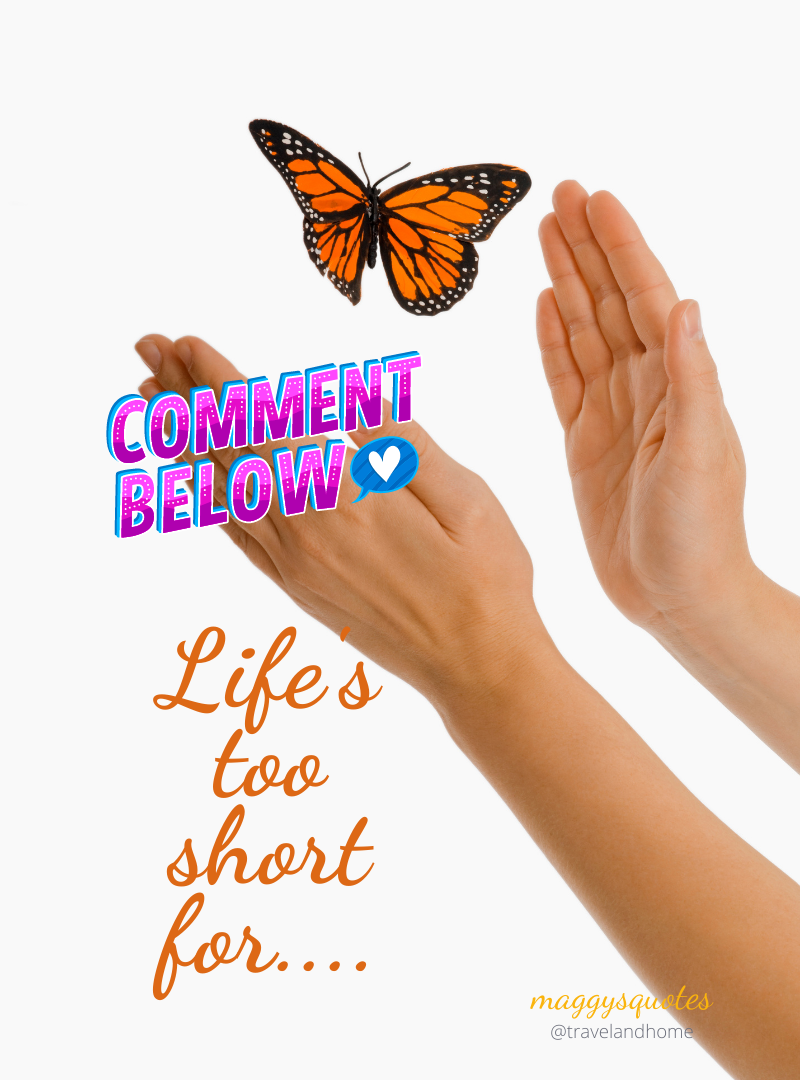 Inspirational motivational lifes too short for comment below