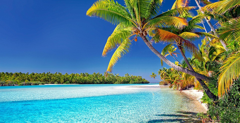 Visit Cook Islands Beach Palm Trees Sand Sea Island