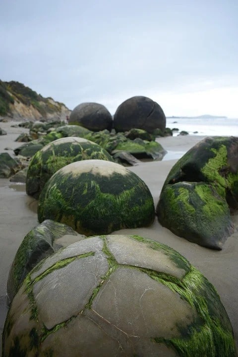 Koekohe Beach in New Zealand most peculiar formation egg like rocks travelandhome min