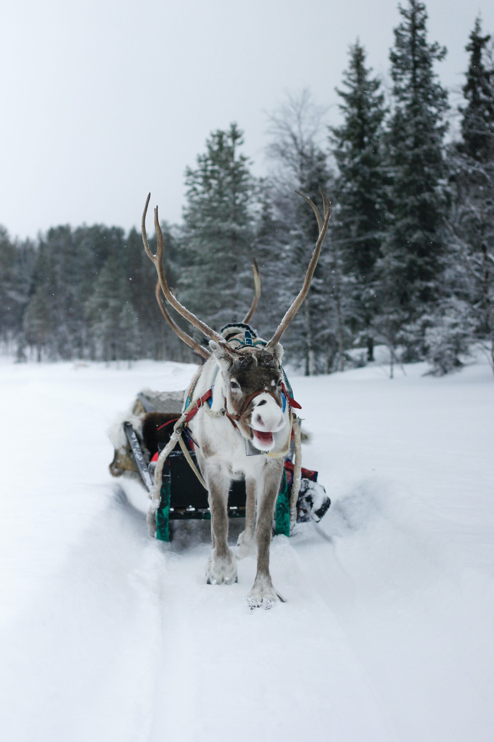 Lapland and Rovaniemi best Christmas destination to visit Father Christmas Santa