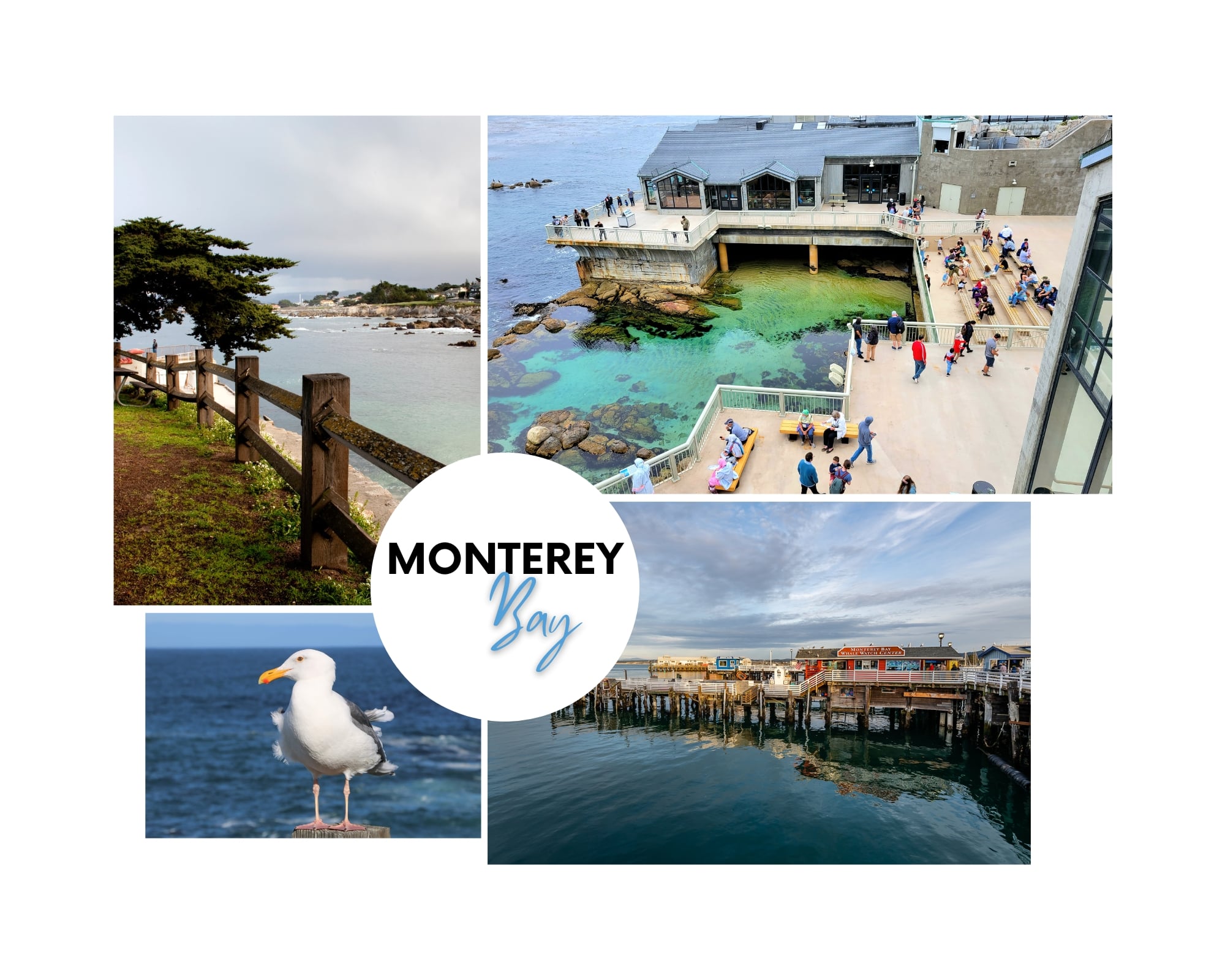 Most scenic San Francisco road trips Monterey Bay California travel and home min