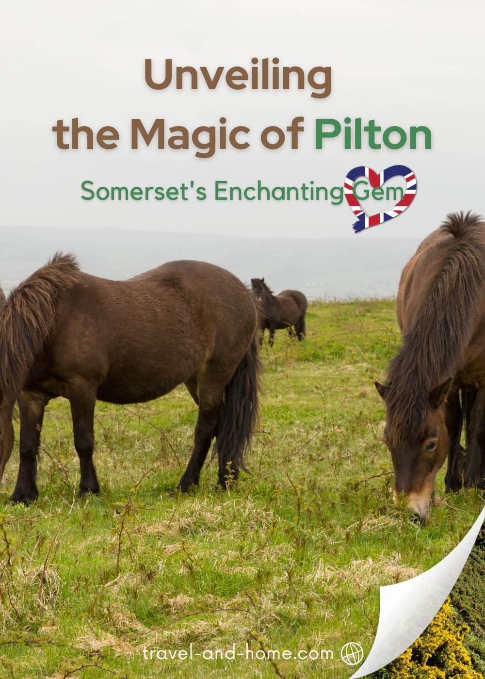 travel and home, pilton travel guide, somerset, england, things to do and see, where to eat and drink min